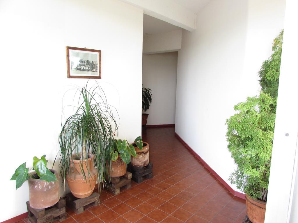 Hotel Puerto Piedra Пуэрто-Эскондидо Экстерьер фото